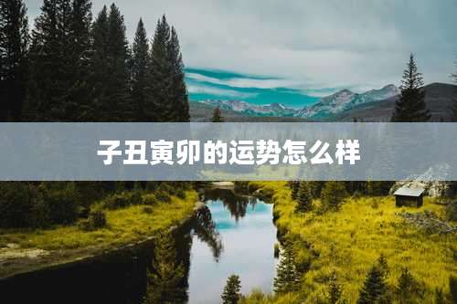 子丑寅卯的运势怎么样