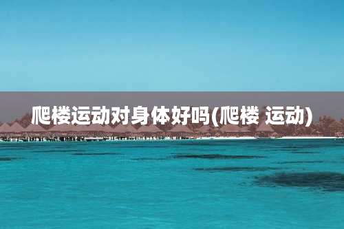 爬楼运动对身体好吗(爬楼 运动)