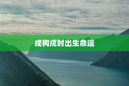 戌狗戌时出生命运