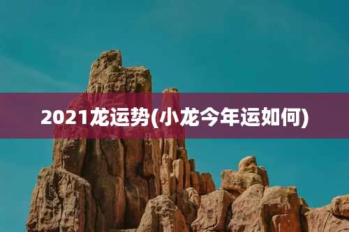 2021龙运势(小龙今年运如何)