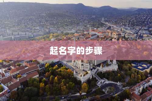 起名字的步骤