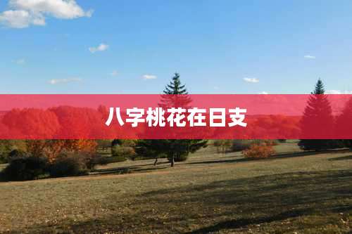 八字桃花在日支
