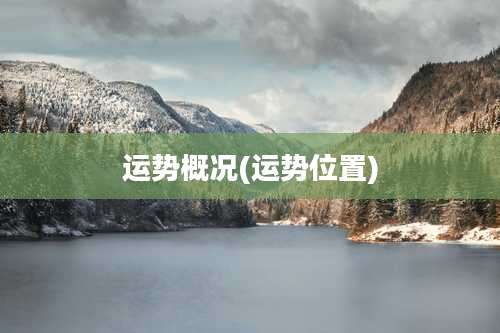 运势概况(运势位置)