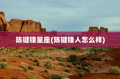 陈键锋星座(陈键锋人怎么样)