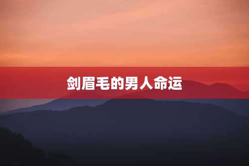 剑眉毛的男人命运