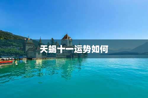 天蝎十一运势如何