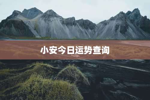 小安今日运势查询