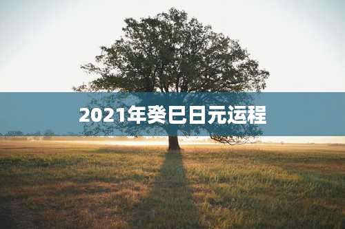 2021年癸巳日元运程