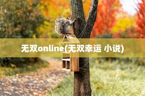 无双online(无双幸运 小说)