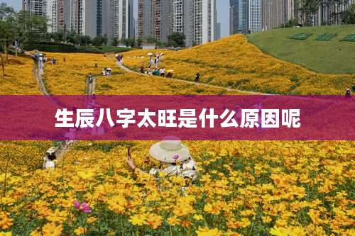 生辰八字太旺是什么原因呢