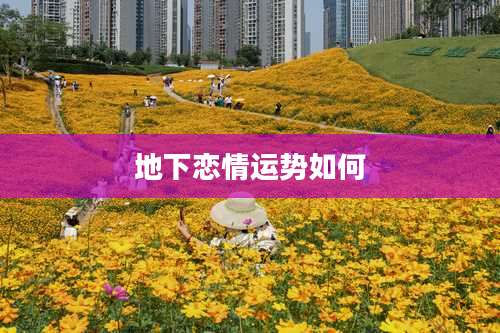 地下恋情运势如何