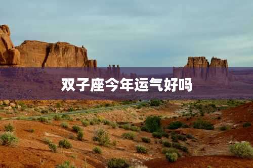 双子座今年运气好吗