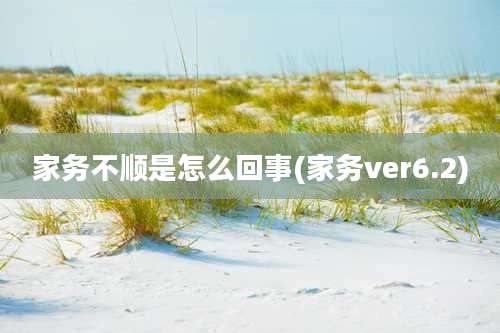 家务不顺是怎么回事(家务ver6.2)