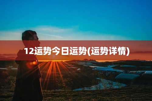 12运势今日运势(运势详情)