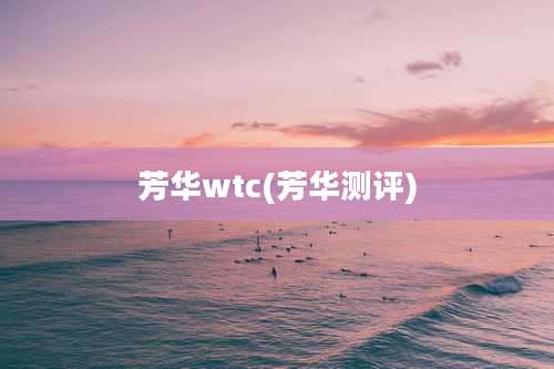 芳华wtc(芳华测评)