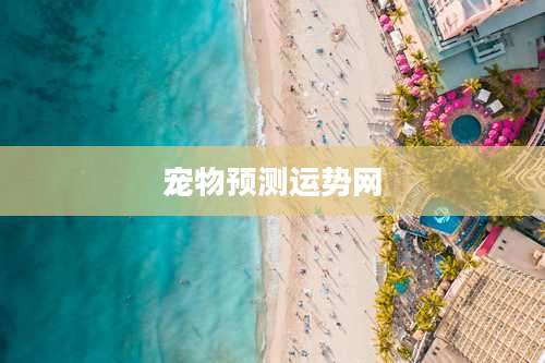宠物预测运势网