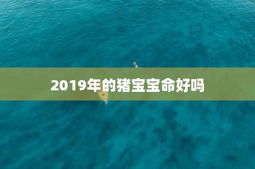 2019年的猪宝宝命好吗