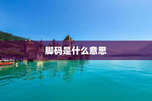 脚码是什么意思