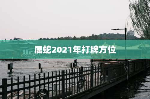 属蛇2021年打牌方位