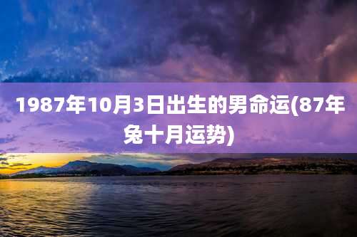 1987年10月3日出生的男命运(87年兔十月运势)