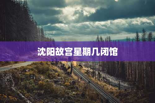 沈阳故宫星期几闭馆