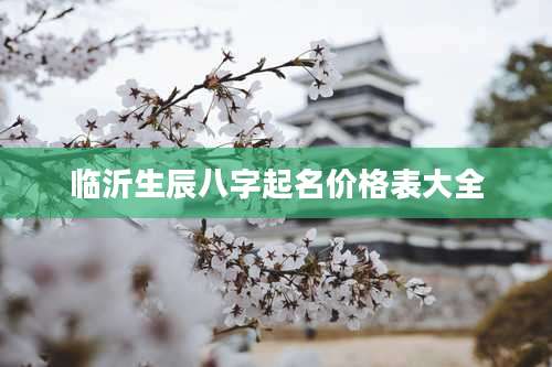 临沂生辰八字起名价格表大全
