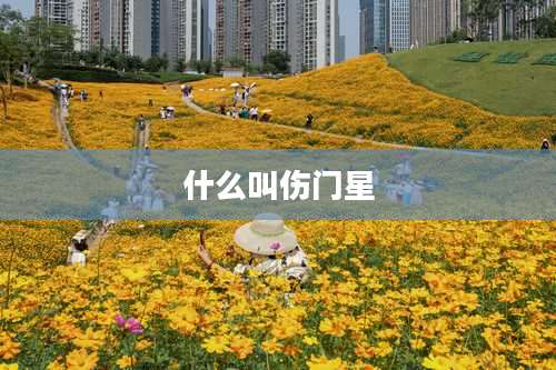 什么叫伤门星