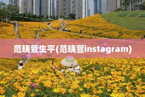 范晓萱生平(范晓萱instagram)