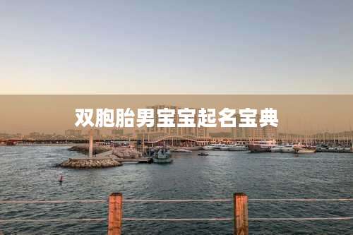 双胞胎男宝宝起名宝典