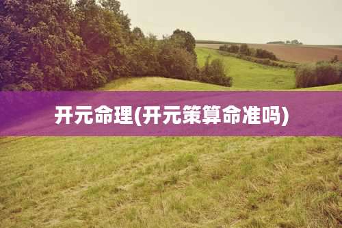 开元命理(开元策算命准吗)