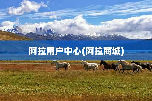 阿拉用户中心(阿拉商城)