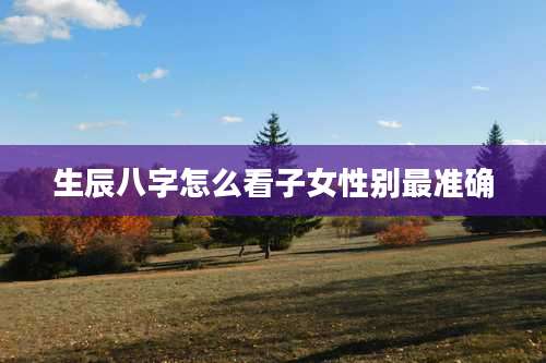 生辰八字怎么看子女性别最准确