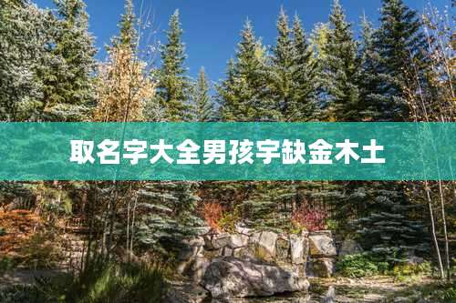 取名字大全男孩宇缺金木土