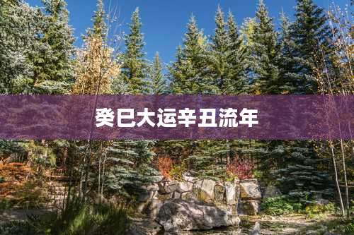 癸巳大运辛丑流年