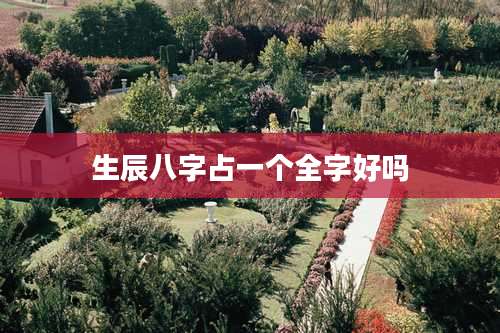 生辰八字占一个全字好吗