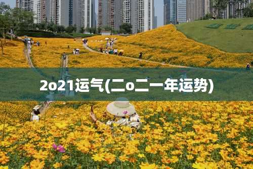 2o21运气(二o二一年运势)