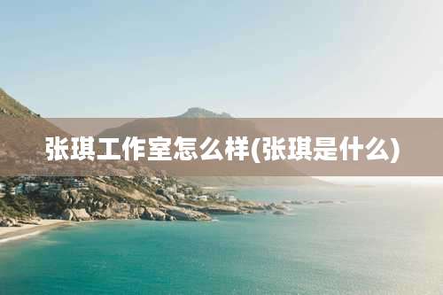 张琪工作室怎么样(张琪是什么)