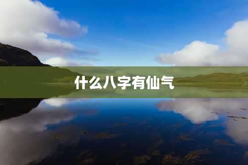 什么八字有仙气