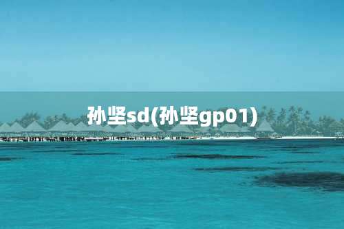 孙坚sd(孙坚gp01)
