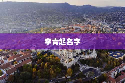 李青起名字