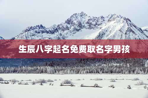 生辰八字起名免费取名字男孩