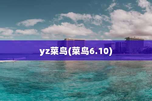yz菜鸟(菜鸟6.10)