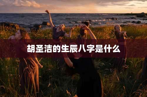 胡圣洁的生辰八字是什么