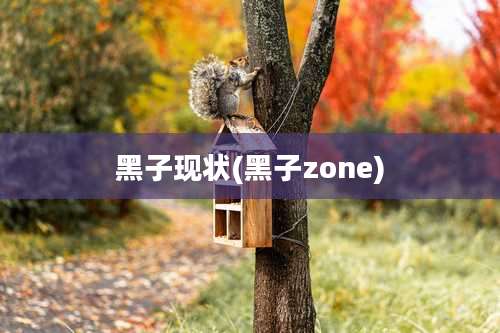 黑子现状(黑子zone)
