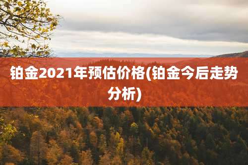 铂金2021年预估价格(铂金今后走势分析)