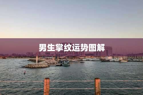 男生掌纹运势图解