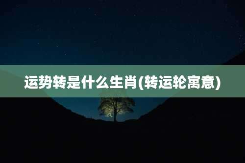 运势转是什么生肖(转运轮寓意)