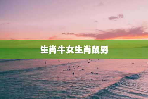 生肖牛女生肖鼠男