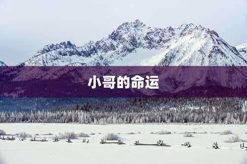 小哥的命运