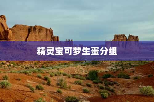 精灵宝可梦生蛋分组